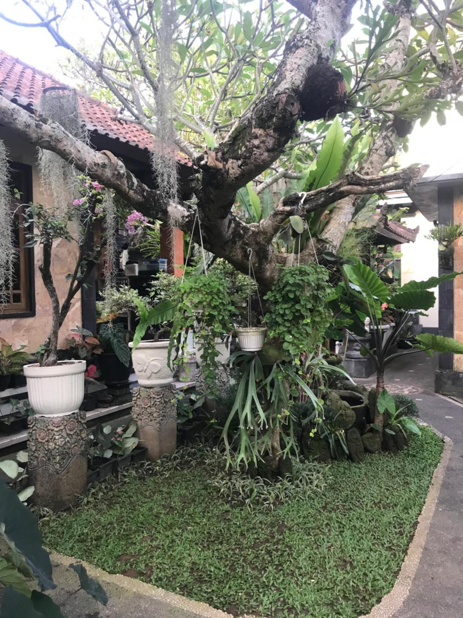 Gus Arditya Homestay Ubud Kültér fotó