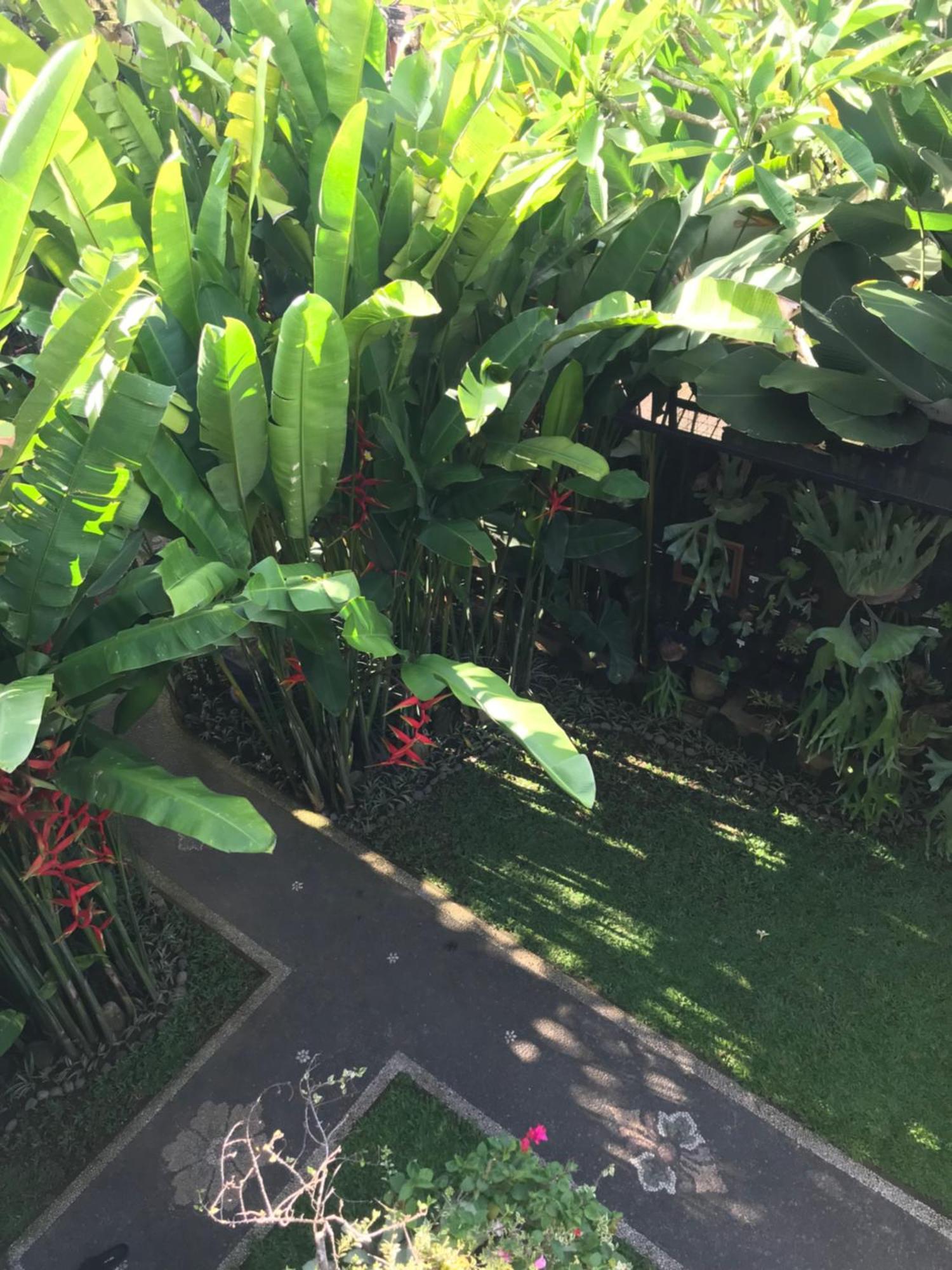Gus Arditya Homestay Ubud Kültér fotó
