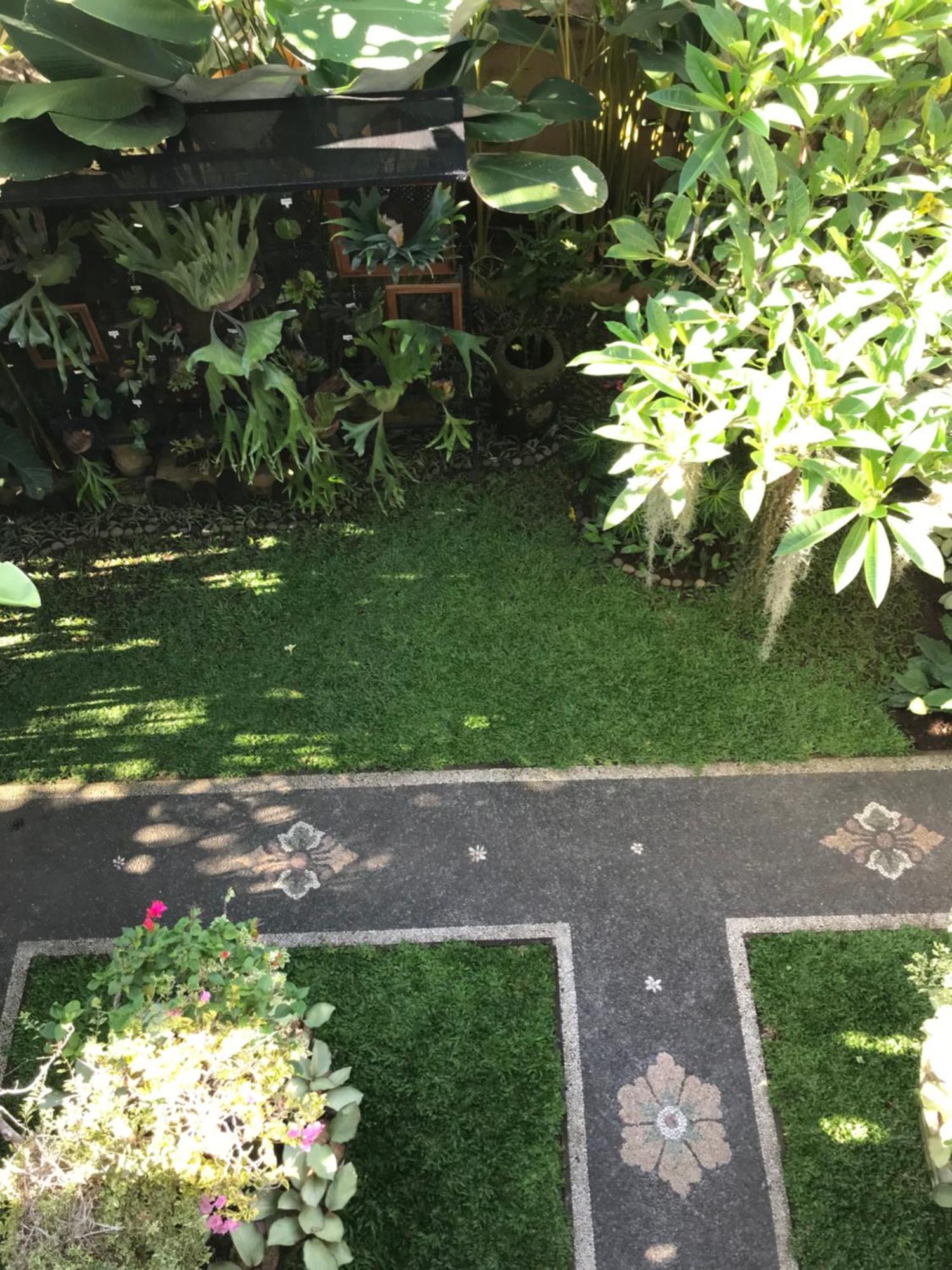 Gus Arditya Homestay Ubud Kültér fotó
