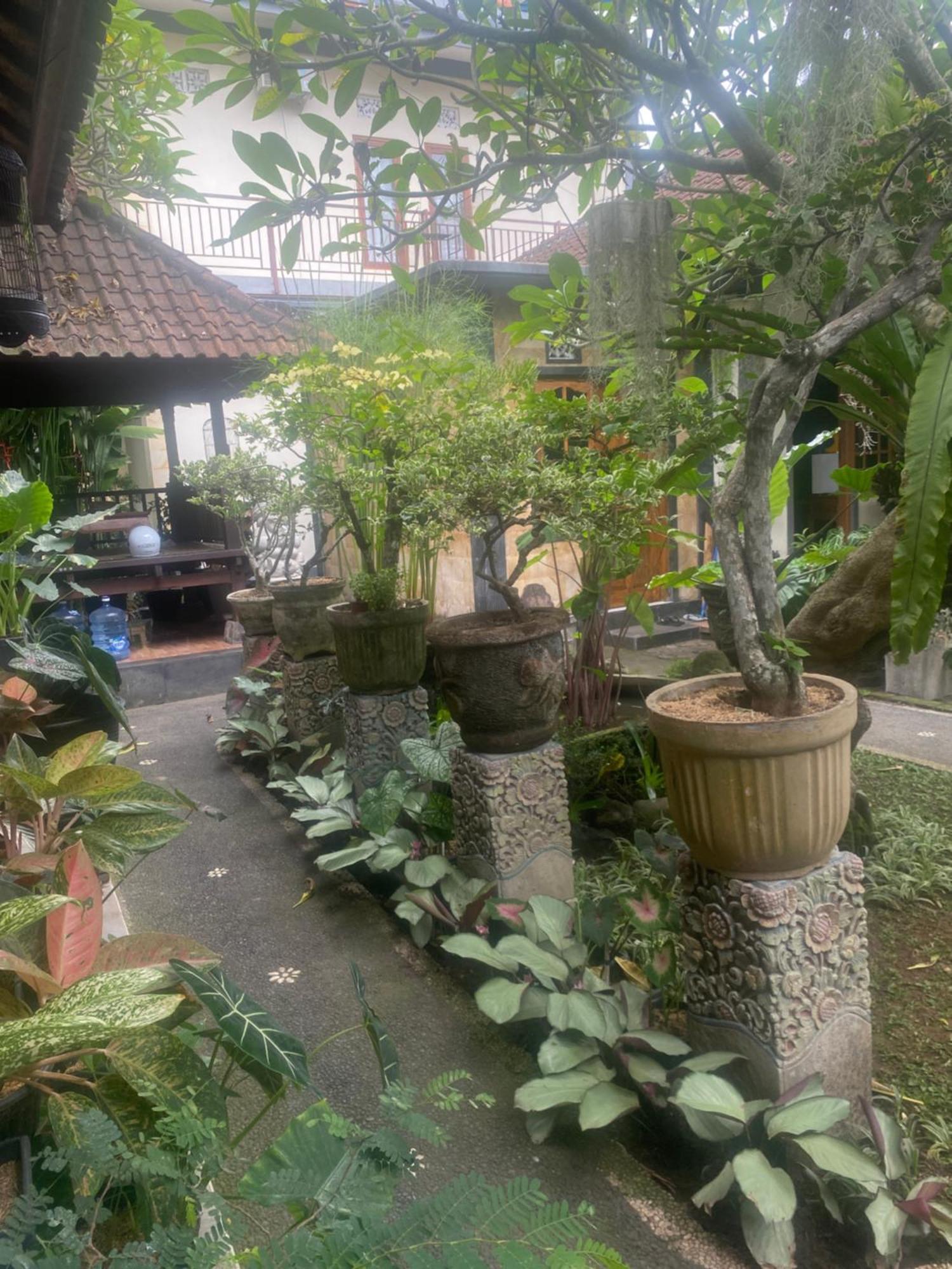Gus Arditya Homestay Ubud Kültér fotó