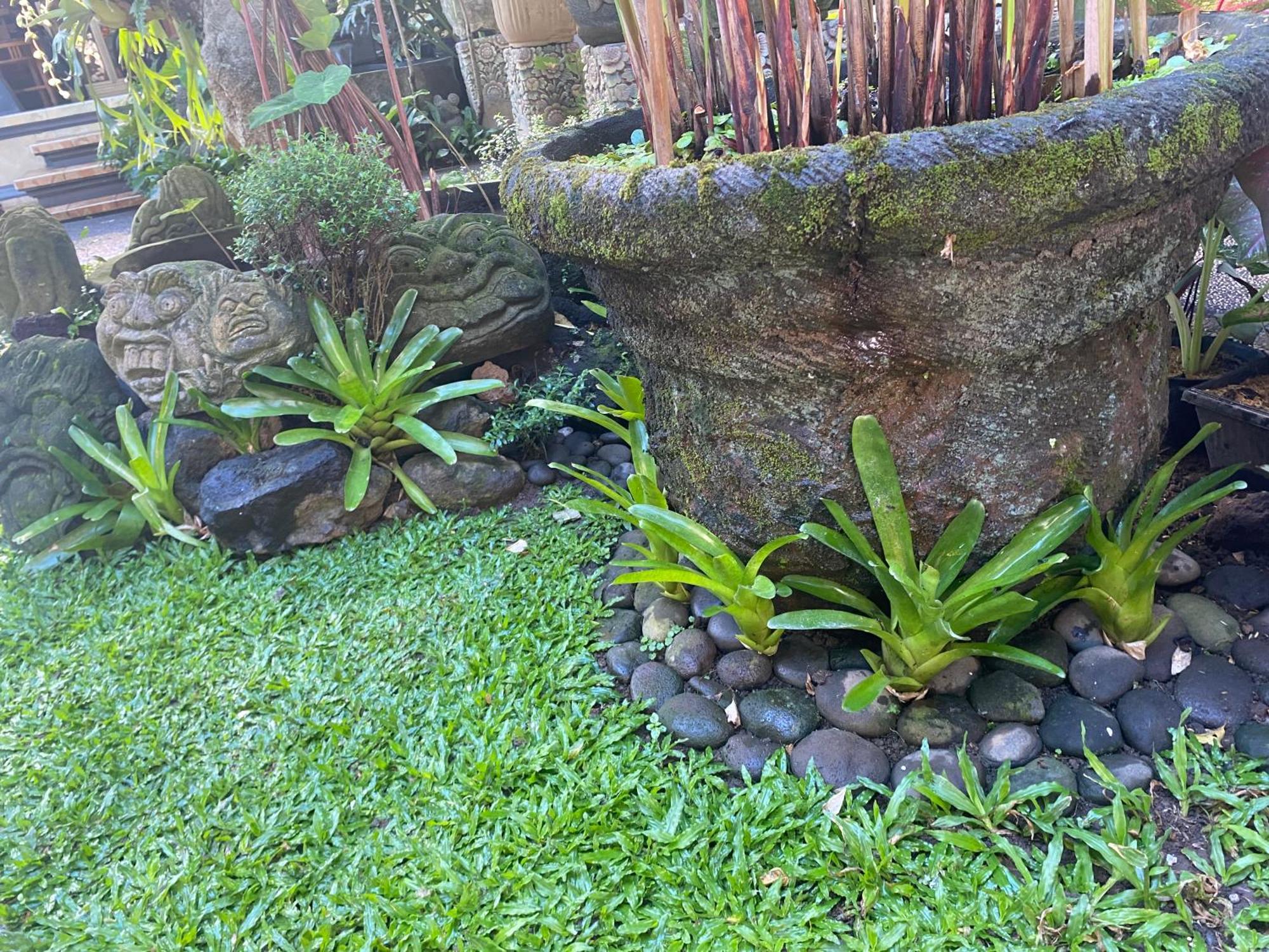 Gus Arditya Homestay Ubud Kültér fotó