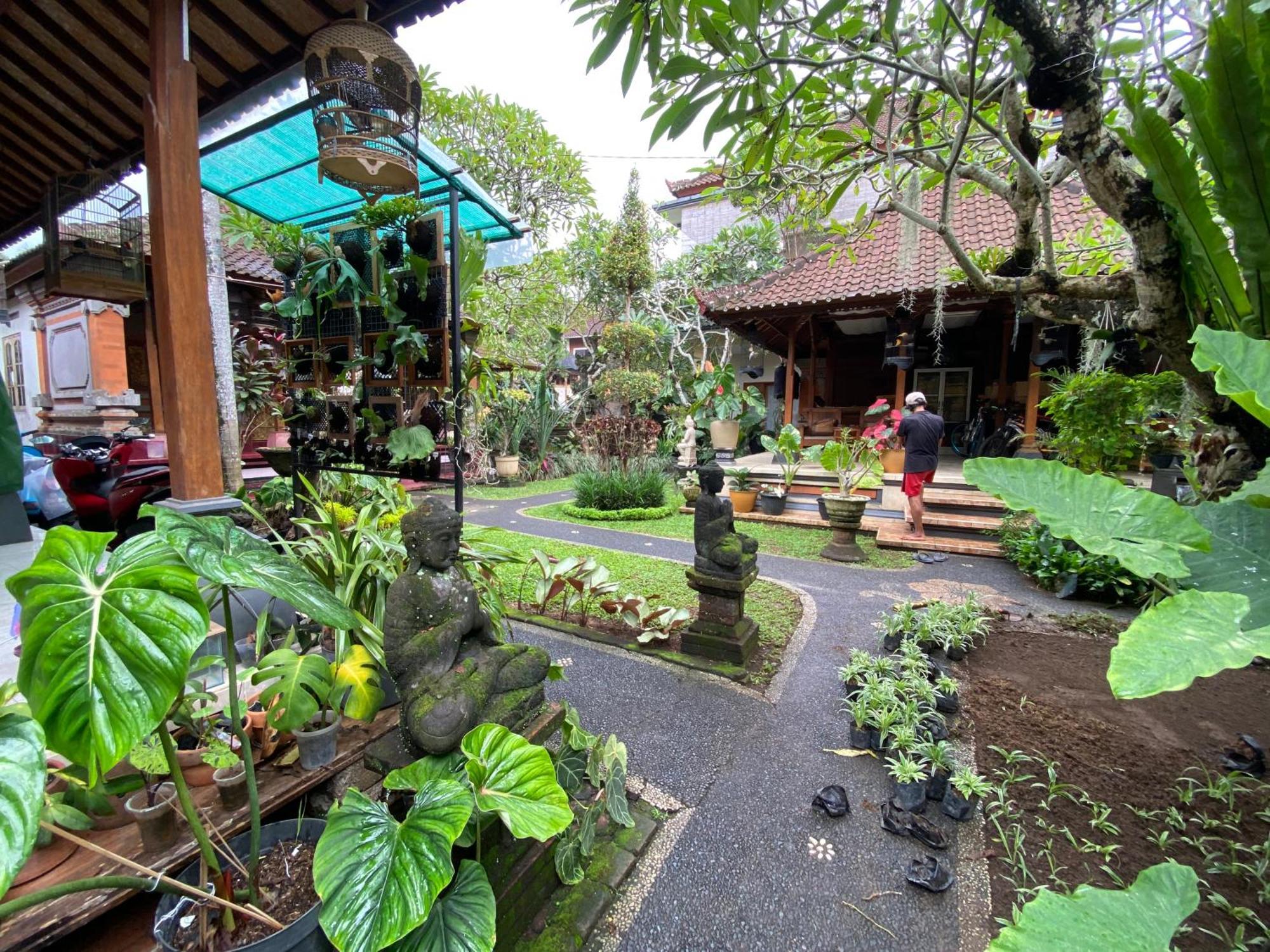 Gus Arditya Homestay Ubud Kültér fotó