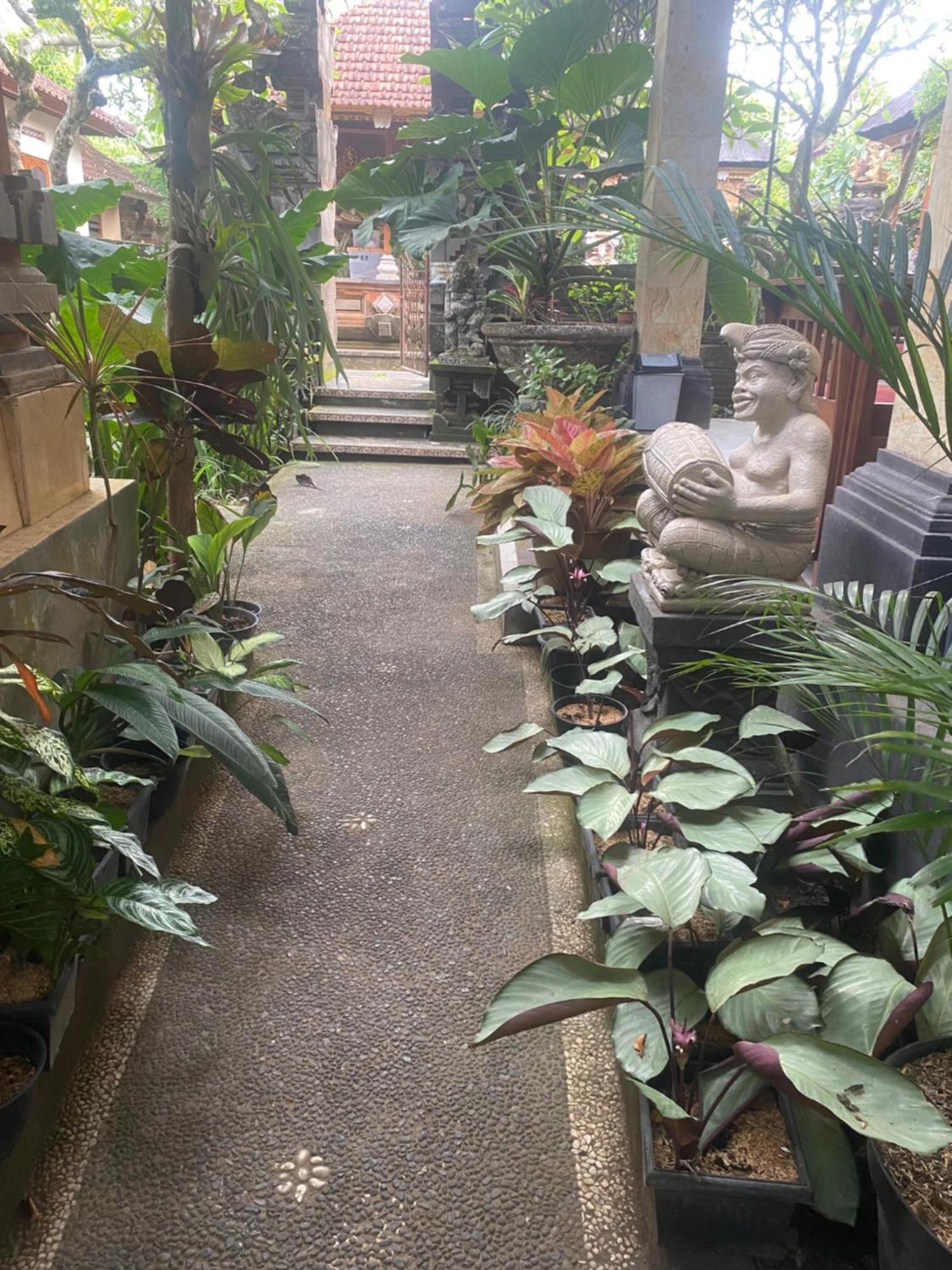 Gus Arditya Homestay Ubud Kültér fotó