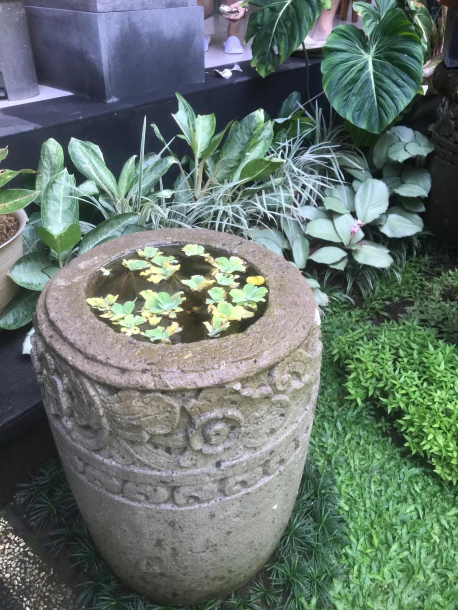 Gus Arditya Homestay Ubud Kültér fotó