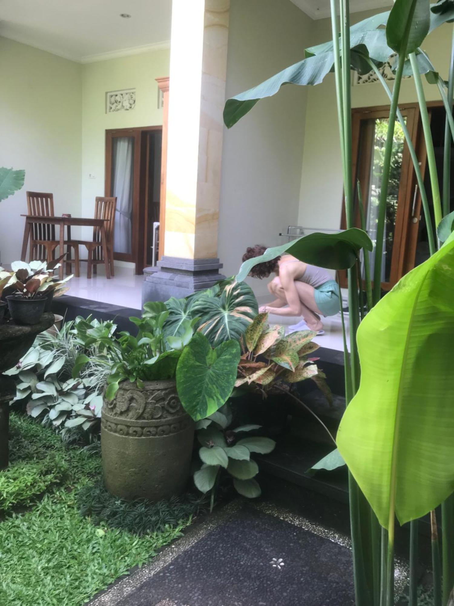Gus Arditya Homestay Ubud Kültér fotó